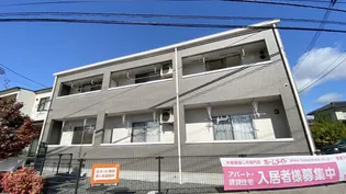 アストラ モミジの画像