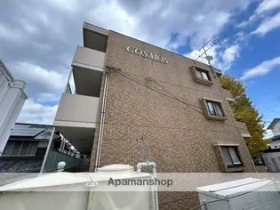 コスモスの画像