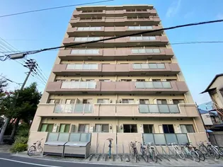 LE MARAIS【8階】の外観