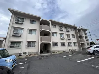 ジョイフル今の画像