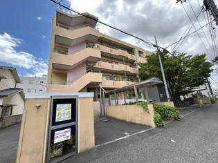 チェルシー青江の画像