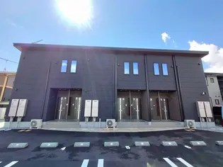 コンテルミナスの画像