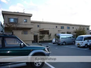 アネシスの画像