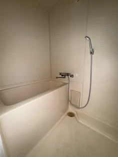 パルトネール東古松【301号室】の風呂