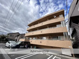 フローレンスココネの画像