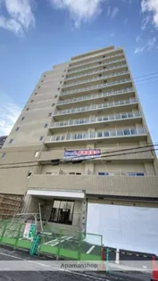 INITIA KUWADACHOの画像