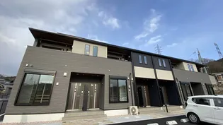 プルメリアの画像