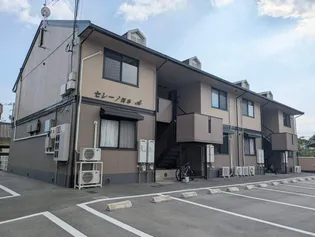 セレーノ岡本 A棟の画像