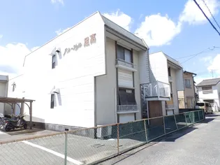 パレーシャル笹沖の画像