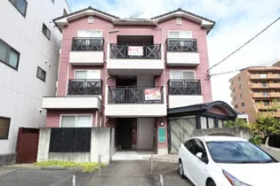 サネヒサギャラリーツボイの画像