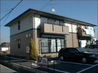 ハイカムール静の画像