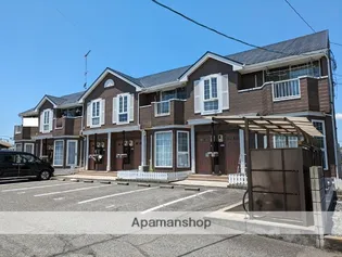 エクセランセトルの画像