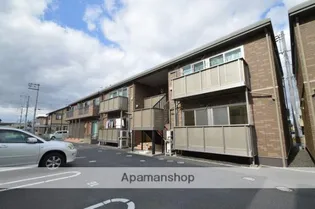 キャンベルBの画像