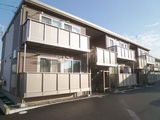 プリムローズの画像