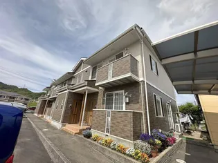 シェーン バッハの画像