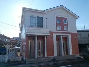 スターライト Aの画像