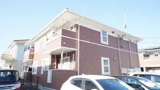 プリムローズ Bの画像