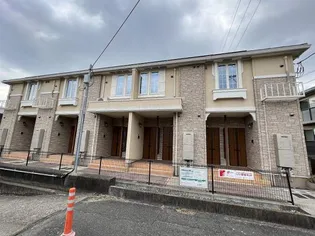 グレース ノバの画像