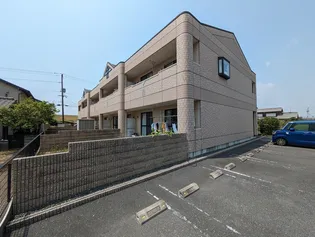 グラシアスの画像