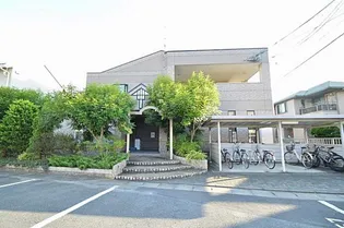 メルヴェイユの画像