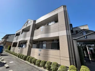 プラティークBの画像