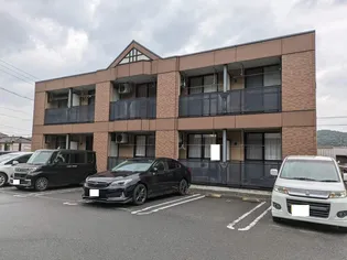 カタマポポラーレの画像