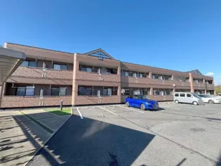 カントリードールの画像