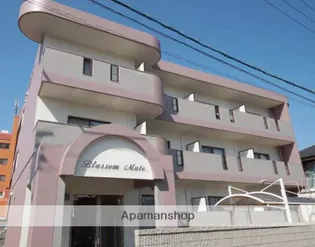 ブラッサムメイト【1階】の外観