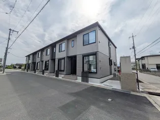 キャメリアの画像