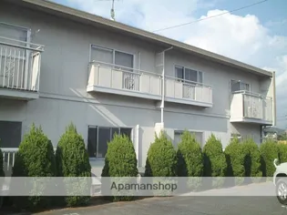 タウニィ樹 Bの画像