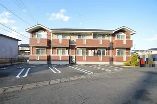 ルピナスの画像