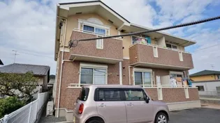 アイリスの画像