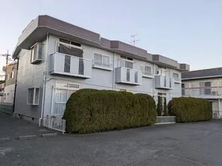 エルディムシャルマンAの画像