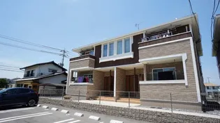 YSピュア21 Aの画像