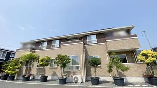 コンソラトゥールの画像