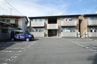 エバーグリーンオークの画像