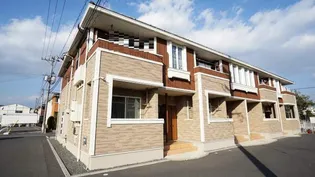 サンフラワーBの画像