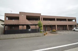 ブルトゥムの画像