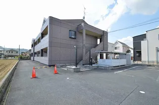 パピヨンの画像