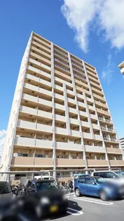 ケイマイティ 2の画像