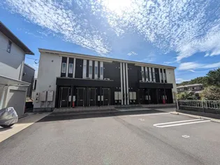 カミーノの画像