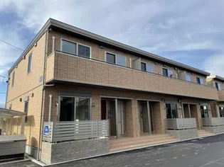 ラグドールBの画像