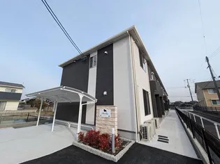 シェルティーの画像