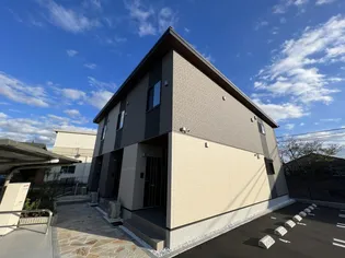 ピアチェーレの画像