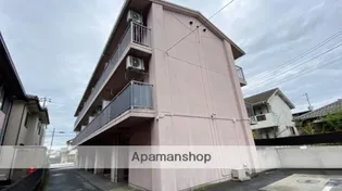 MSDハイツⅡ【3階】の外観