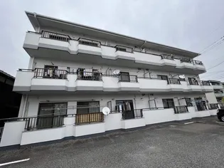 ニュートラルハイツ【3階】の外観