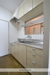 プロムナード洲崎3号館【313号室】のキッチン