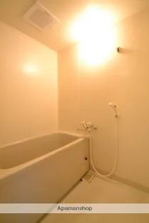 プロムナード洲崎3号館【313号室】の風呂