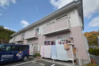 サンラッキーの画像