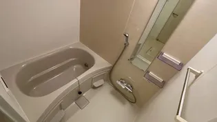 グランティック 若葉町(グランティック ワカバチョウ)【102号室号室】の風呂